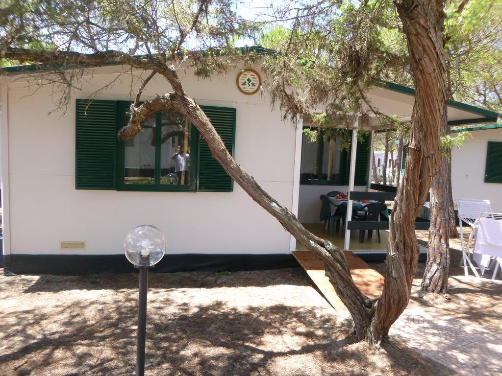 Camping Village Li Nibari Sorso Pokoj fotografie